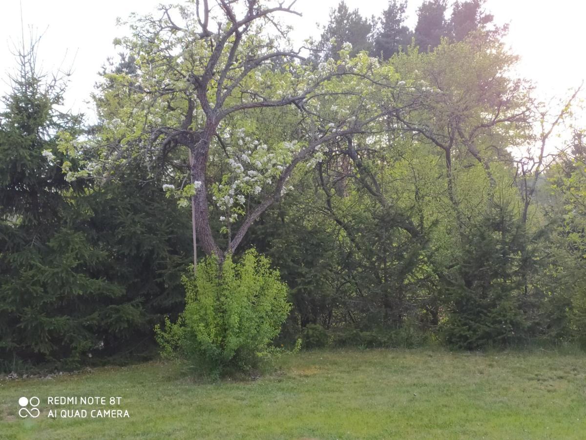 Dolistowka Apartamenty, Pole Namiotowe, Balia Z Jacuzzi, Ogrod Warzywny Dla Gosci, Plac Zabaw Dla Dzieci Гоньондз Екстер'єр фото