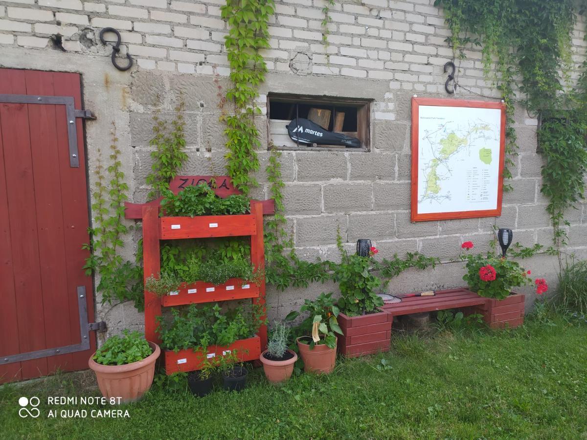 Dolistowka Apartamenty, Pole Namiotowe, Balia Z Jacuzzi, Ogrod Warzywny Dla Gosci, Plac Zabaw Dla Dzieci Гоньондз Екстер'єр фото