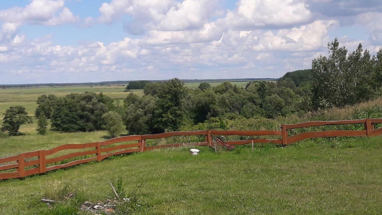 Dolistowka Apartamenty, Pole Namiotowe, Balia Z Jacuzzi, Ogrod Warzywny Dla Gosci, Plac Zabaw Dla Dzieci Гоньондз Екстер'єр фото